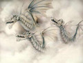 Snow Dragons