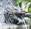 Dragon fountain