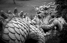 Temple dragon