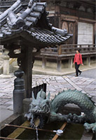 Kiyomizu dragon