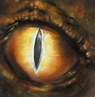 dragon_eye