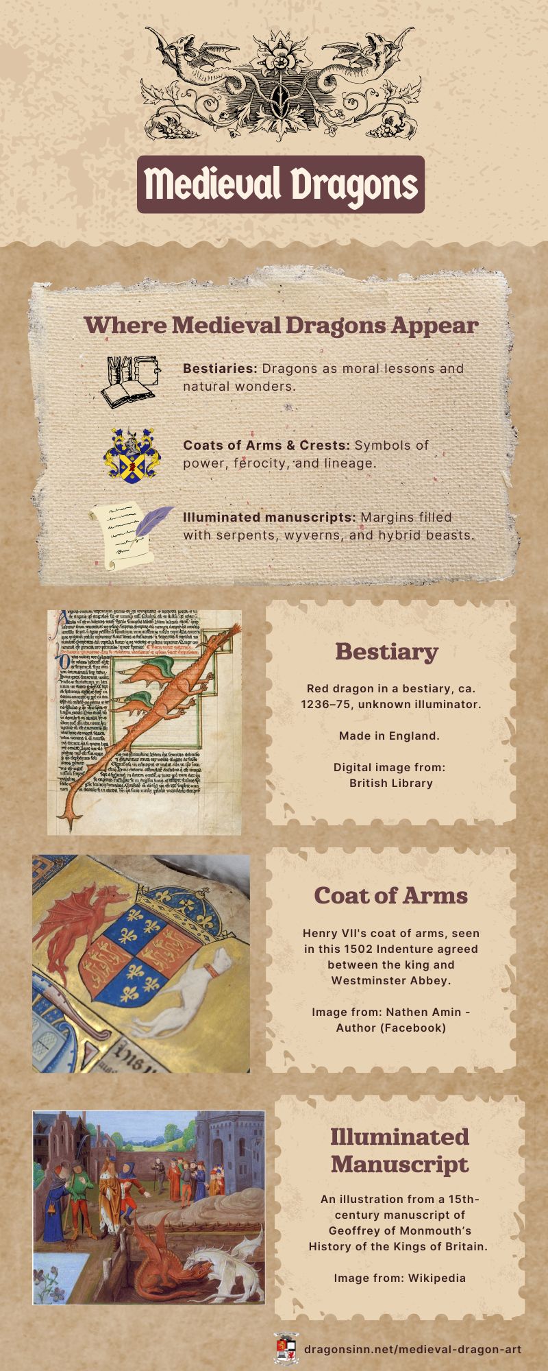 medieval dragons infographic