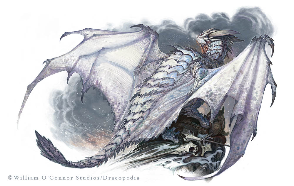 dracopedia_iceland_dragon