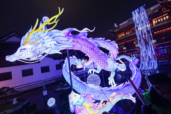 dragon lantern lunar new year