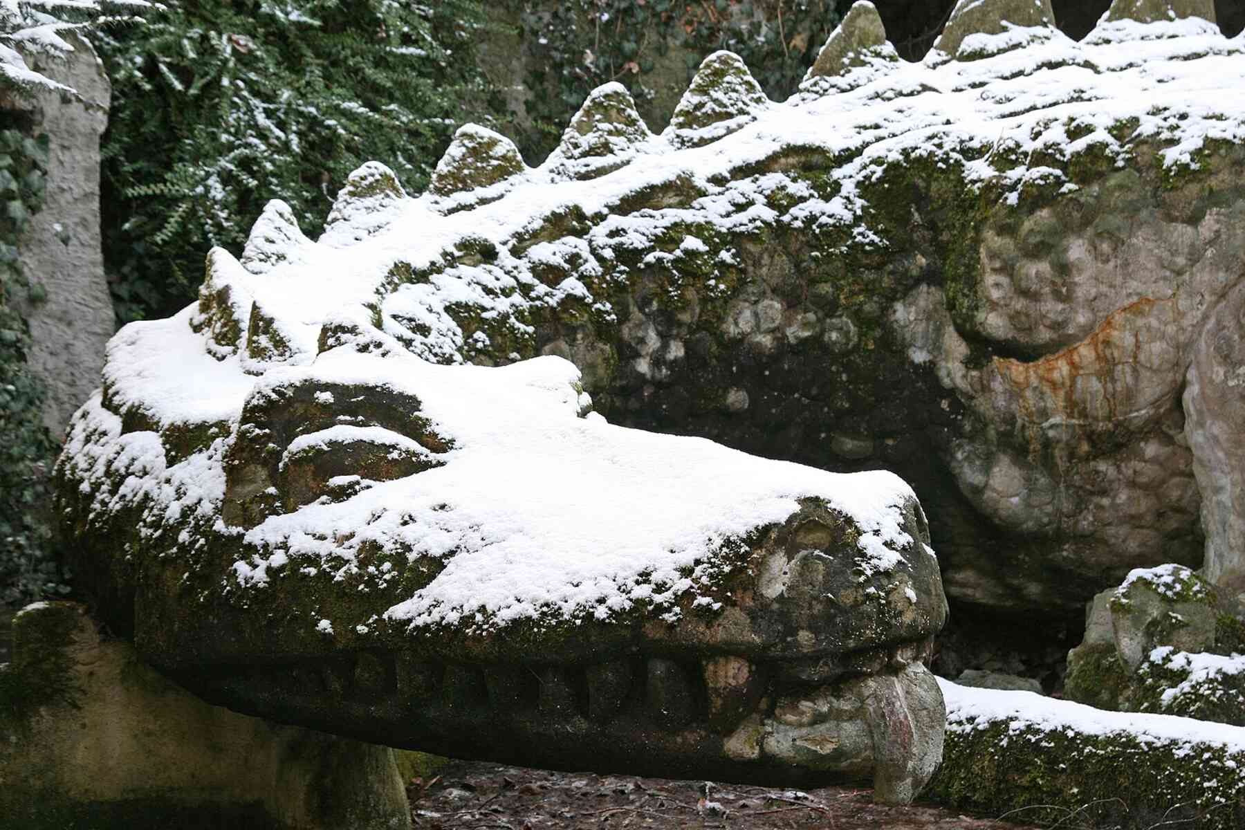 drachenfels winter dragon
