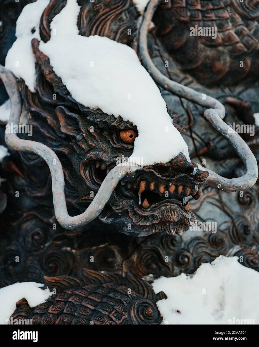 Japan temple winter dragon