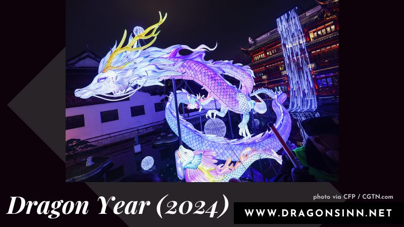 dragon china new year lantern