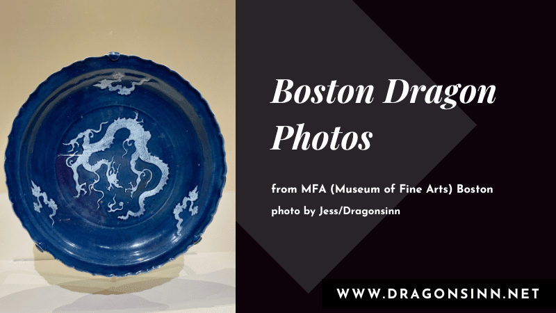 Boston dragons
