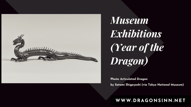 museum dragon year