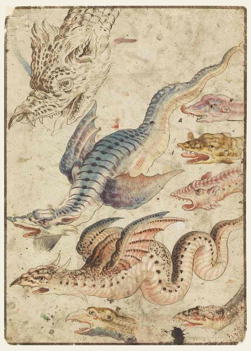 old world studies of a dragon