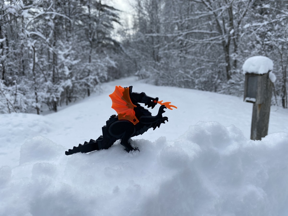 vintage Lego black dragon in snow
