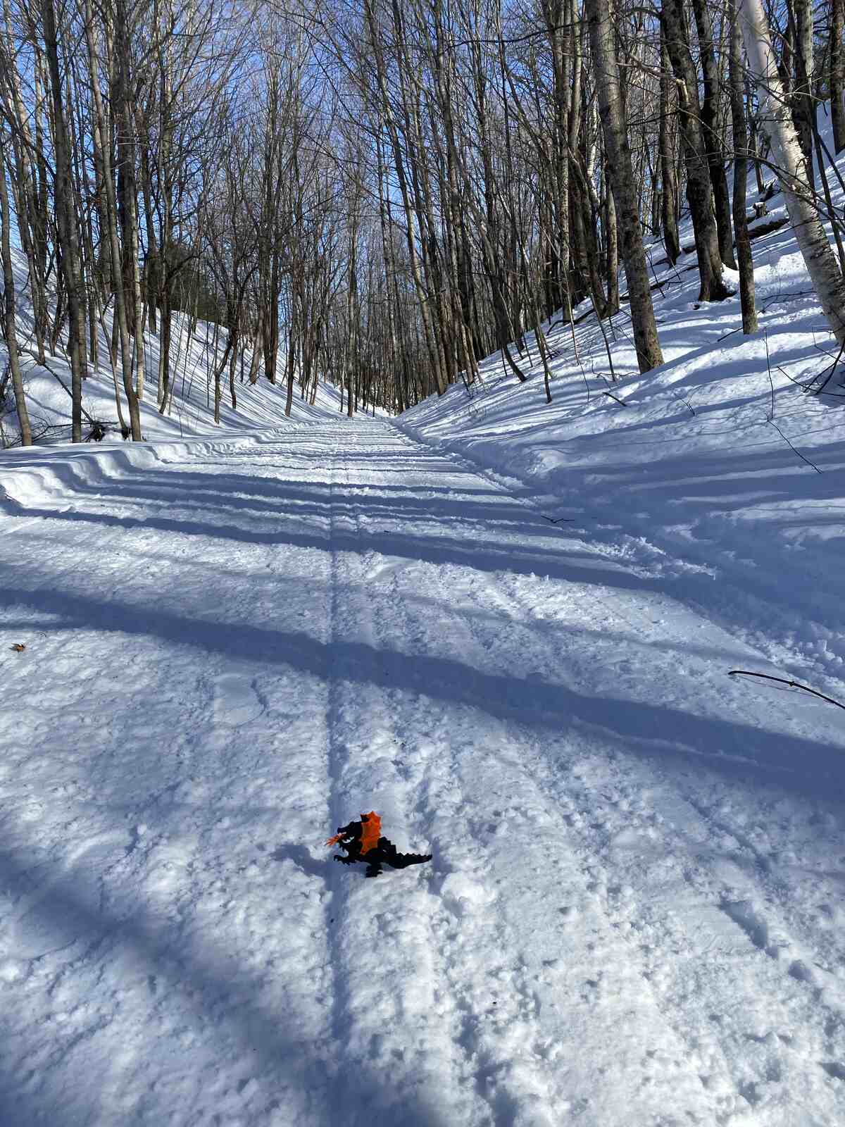 vintage Lego black dragon