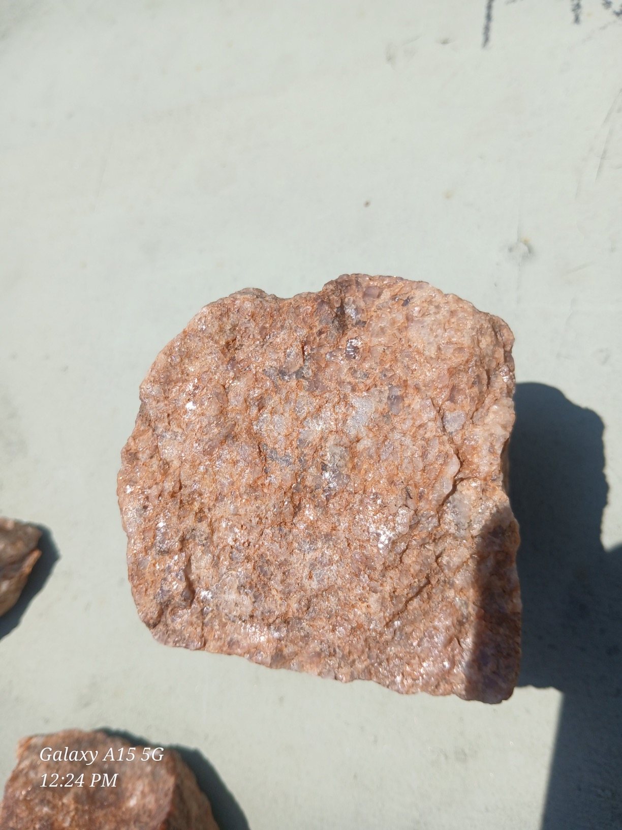petrified dragon