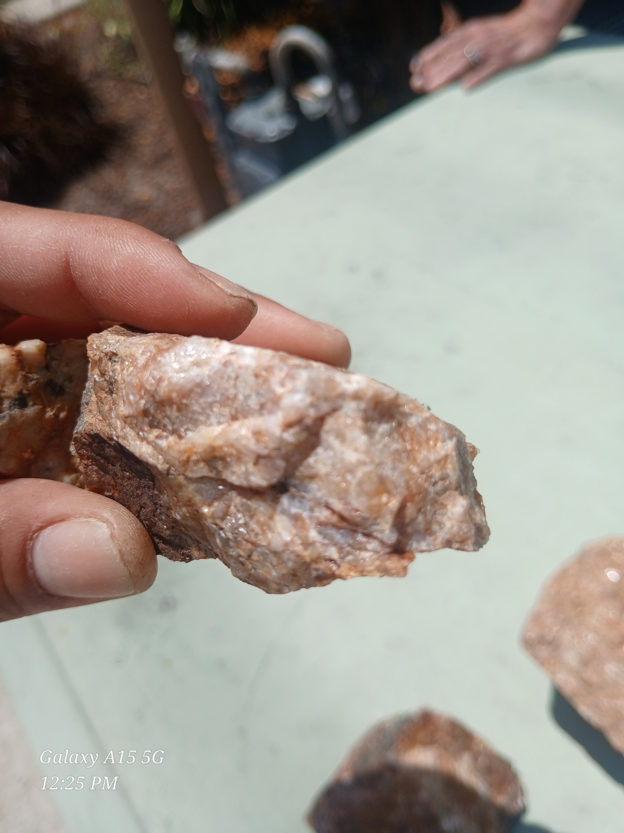 petrified dragon with dried blood and veins
