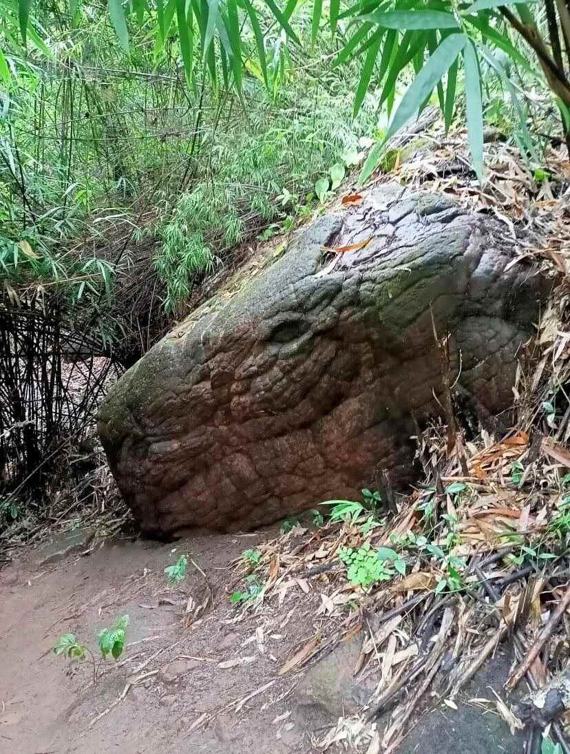 resting dragon rock, phu langka thailand