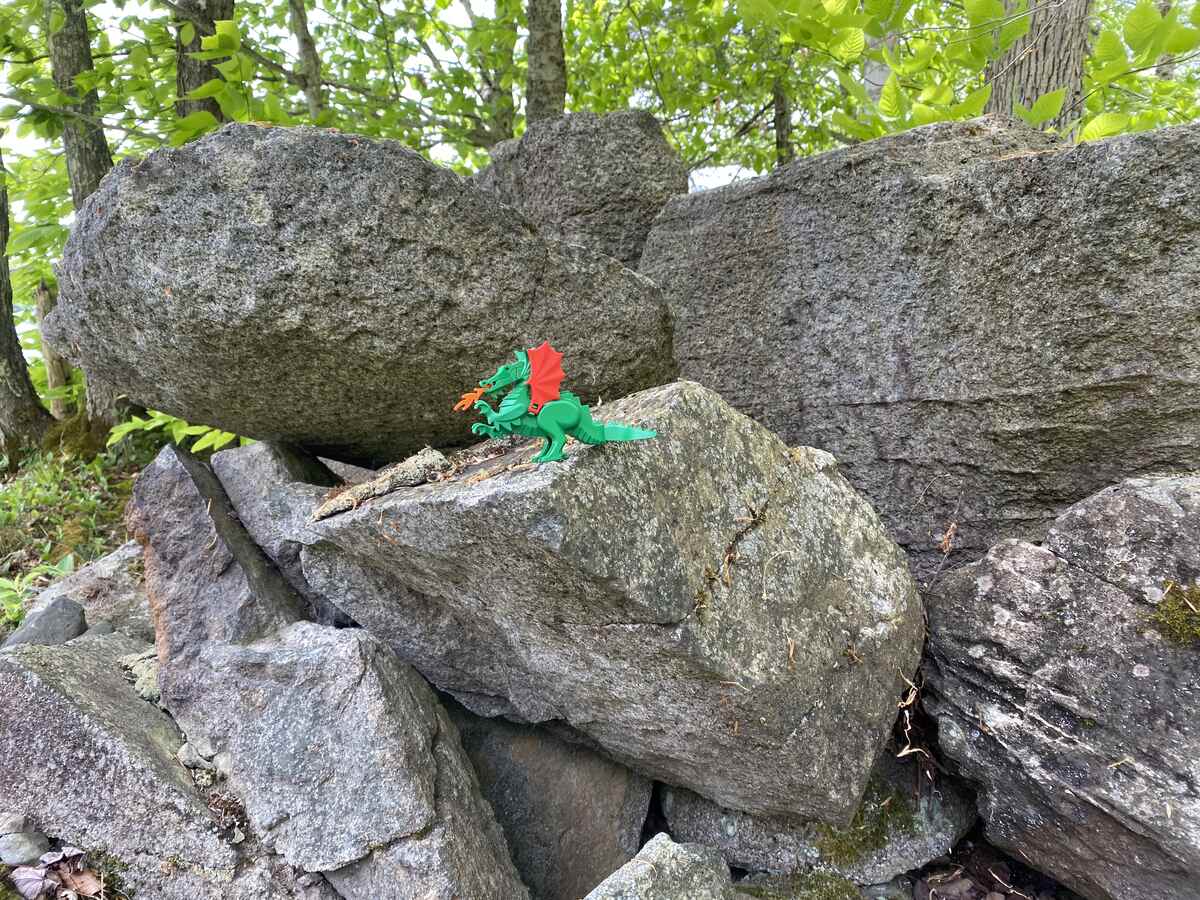 dragon on rocks