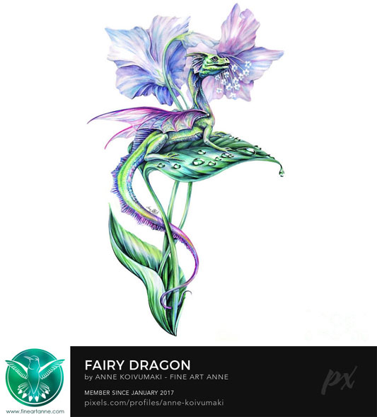 fairy_dragon