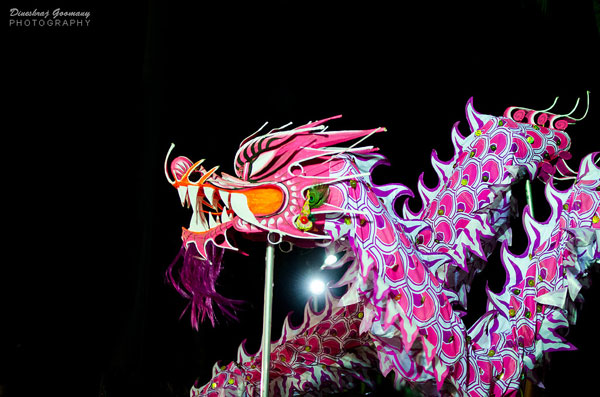 pink_dragon