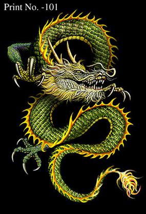 Eastern Dragon Anatomy and Physiology - Dragonsinn.net