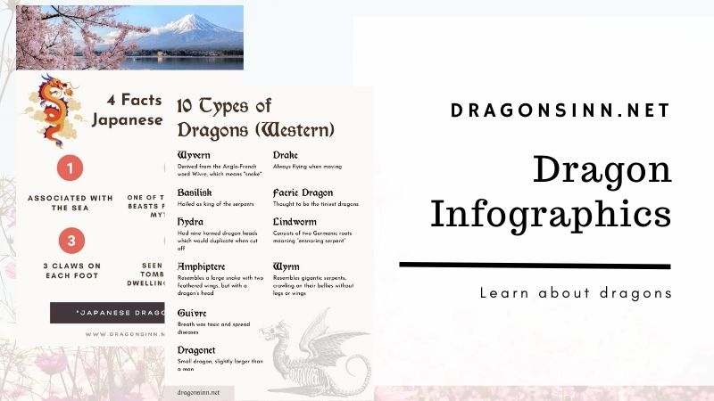 dragon_infographic